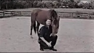 674: Steve Brinkworth LC - Horsemanship Essentials for Horses and Horse Owners (Listeners' Choice)
