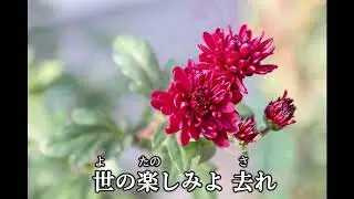 「キリストにはかえられません」（チェンバロ）　I'd rather have Jesus　総合版 539 番 / 聖歌 521 番