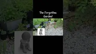The Forgotten Garden!  #jeffreybutton #rodents #garden
