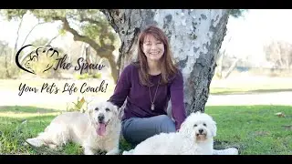 The Spawdcast LIVE Q&A with Dr. Ericka Halle on Pet Anxiety!