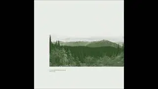 Formant Value & Simone Bauer - Veduta VII [ANNCD06]