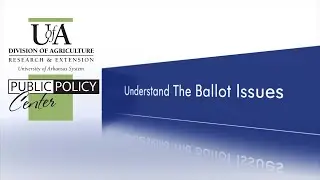 2020 Arkansas Ballot Issues - What Do They Mean?