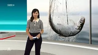 Diana H&ouml;rger SWR Aktuell BW 13.09.2025 #tvgucker #news