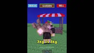 Mummy Hand vs Candy Blossom  #roblox #growagarden