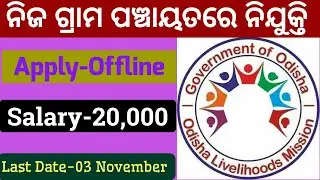 Odisha Livelihood Mission Recruitment 2020 |Grama Panchayat level Jobs |Gajapati,Odisha