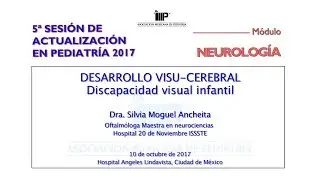 Desarrollo visu-cerebral. Discapacidad visual infantil