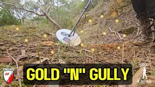 Mission For Success | Gold Hunting & Exploring Victorian Goldfields