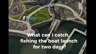 what can i catch, fishing Shellharbour boat ramp for two days?
