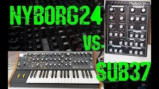 Moog Sub 37 vs. Analogue Solutions Nyborg-24 comparison