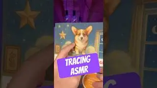 TRACING ASMR su Le Fiabe di Ralph il Corgi! 🐾 (Link aff. nei commenti!)