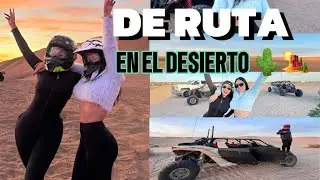 ASÍ ES UN DÍA EN EL DESIERTO 🏜️😱🥵