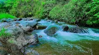 Sacred River Through a Celestial Valley &ndash; Gentle Water Sounds for Relaxation, Sleep, and Clarity
