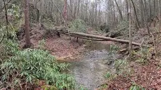 Lick Creek Falls 
