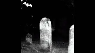 dollreal - party at the graveyard w/ p6inkillr + z4y4 (z4y4) 
