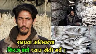 mushroom cultivation in Nepal. new farmer of oyster mushroom cultivation. Niraj Bade