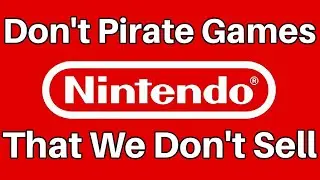 How Nintendo Sees Piracy