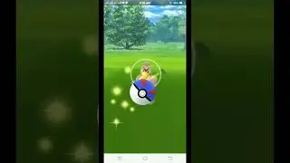 perfect farfetch'd | pokemon go