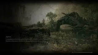 elden ring shadow keep skip
