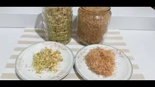 Como fazer brotos de quinoa e lentilha
