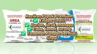 INI DIA Pupuk Setara NPK 20-18-17+1,7 MgO+3 CaO+3,7 S+TE Premium! Formula & Harga Lebih Hemat