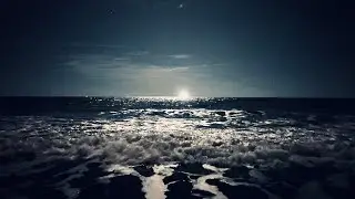 Florida Takeover JESUS IMAGE Vlog 
