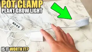 I Tried the Pot Clamp Plant Grow Light Review