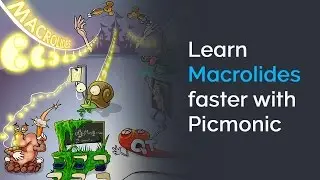 Learn Macrolides Faster with Picmonic (NCLEX&reg;, Nursing School)