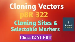 #CloningVectors..#pBR322, #Selectablemarkers.Cloning vector,  cloning sites & selectable markers
