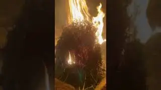 Zhob #fire
