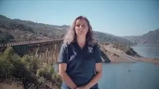 Pam SCWA