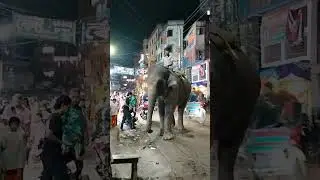 #dramabd