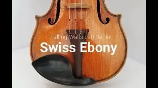 Swiss Ebony at Falling Walls in Berlin