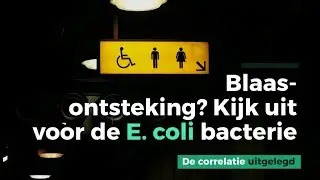 Blaasontsteking? Kijk uit voor de E. coli bacterie - De correlatie uitgelegd