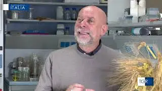 Il Dipartimento di Agraria ospite su RAI TRE a Mezzogiorno Italia
