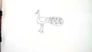 how to draw peacock drawing easy easy step for beginners 2026