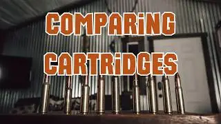 Best Ammo for Big Game Hunting | Caliber Comparison | Which is My Favorite?