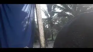 Ngắm cảnh nói chuyện 