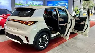New Arrival! 2024 BYD Dolphin Electric Car - Luxury Exterior and Interior Details