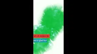 Full Screen Status Green Screen | Full Screen Whatsapp Status in Green screen