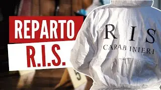 I RIS dei Carabinieri: Organizzazione e Ruoli Chiave | Tutto Quello che Devi Sapere