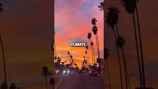 Los Angeles is love! 🥰