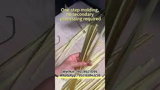 PVC gold edge laminating strip machine #strip#extruder#pvc#machine