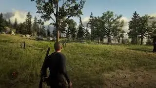 RDR2 nature