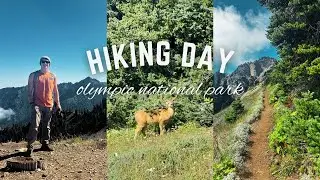 Solo Roadtrip in Olympic National Park | Hurricane Hill and Klahhane Ridge