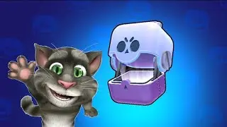 CAT open BIG BOX in a nutshell