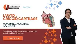 Larynx – Cricoid Cartilage | Membranes, Muscles & Ligaments
