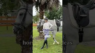 Affordable horse girl gift ideas under $10M 🐎🎁😂 #equestrian #horseworld #comedy #equestrianlife