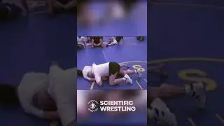 Narrow Arm Lock Explained | Catch Wrestling Submission Control & Setup!