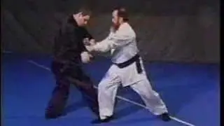 tai chi 2 man form