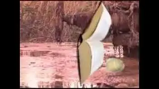 Alessandro Fantini - Romanaclef - (2006)